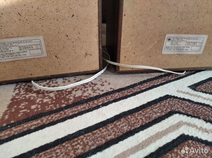 Музыкальные колонки 15ас 221