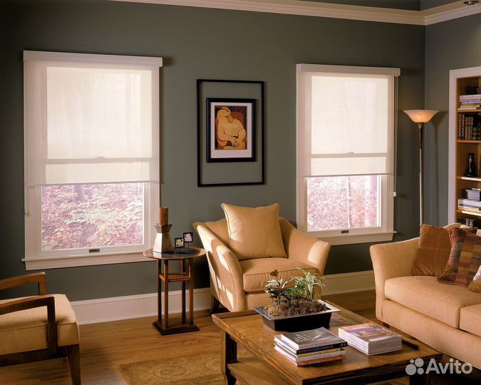 Рулонные шторы день ночь