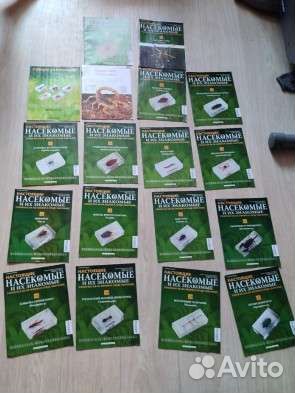 Насекомые в контейнере