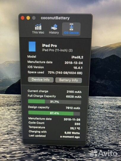 iPad Pro 11 2018 1TB wifi