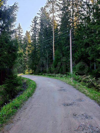 Участок 11 сот. (СНТ, ДНП)