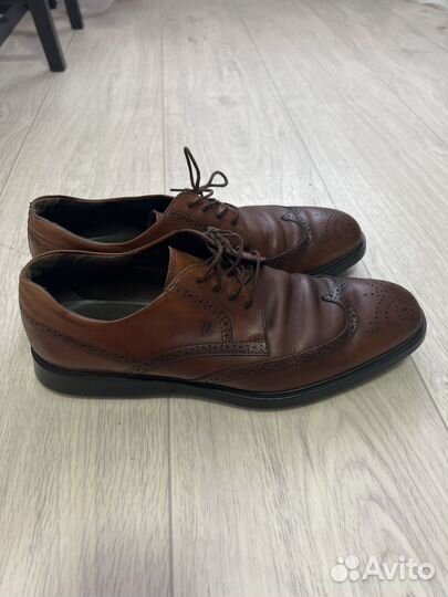 Туфли мужские tods