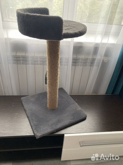 Когтеточка