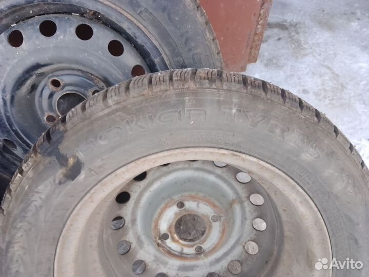 Nokian Tyres Hakkapeliitta 7 175/65 R14