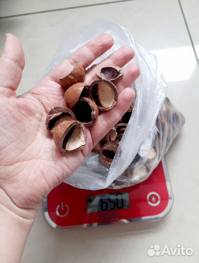 Скорлупа ореха макадамия 670 гр