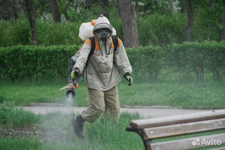 Уничтожение клопов тараканов грызунов блох клещей