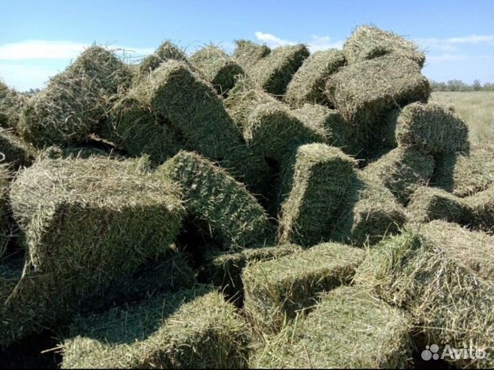 Сено, солома