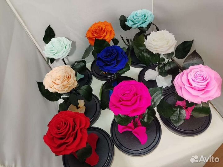 Цветы оптом