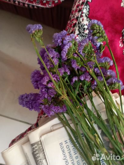 Продам стабилизированные цветы и сухоцветы