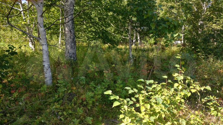 Участок 10 сот. (СНТ, ДНП)