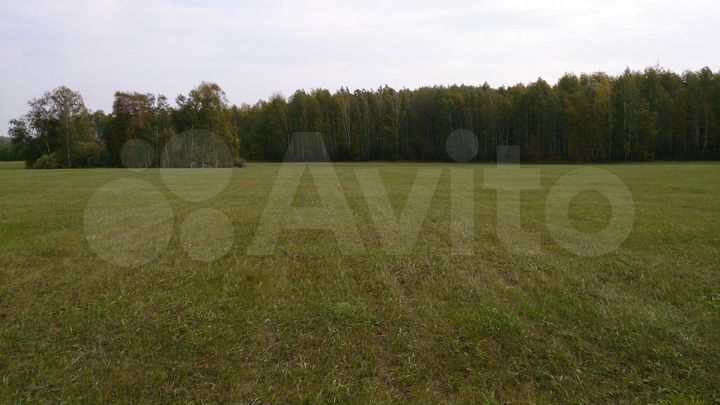 Участок 18,5 га (СНТ, ДНП)