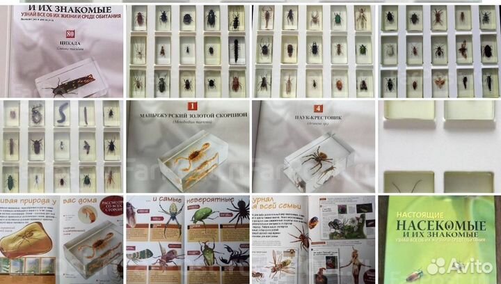 Коллекция: Журнал 