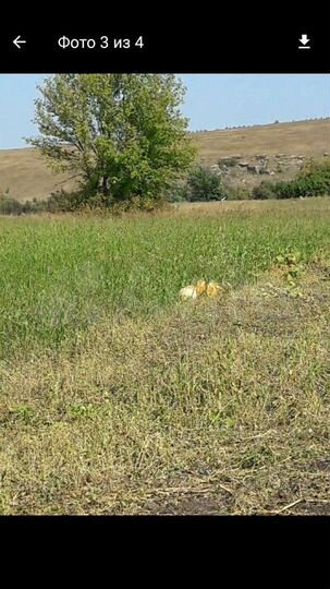 Дом 35 м² на участке 1,4 га