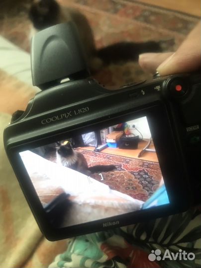 Зеркальная Фотокамера nikon coolpix l820