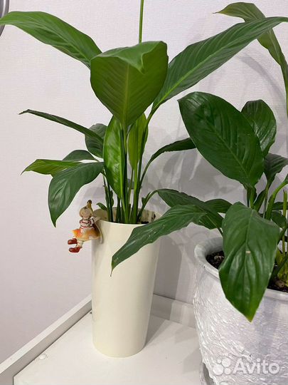 Горшок - декор на горшок