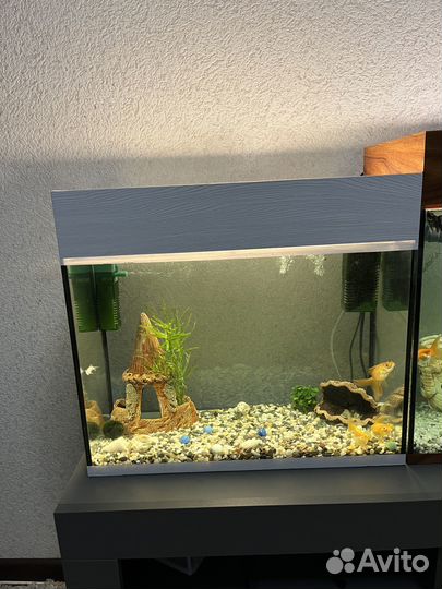 Аквариум