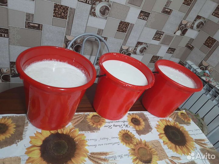 Молоко коровье