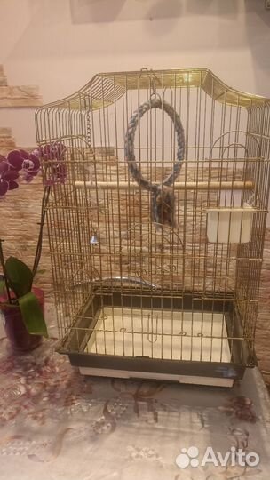 Большая клетка для птиц, попугаев Карелла