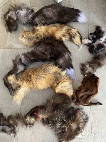 Дорожка от чернобурки и хвост от чернобурки