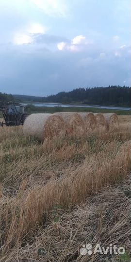 Солома в рулонах