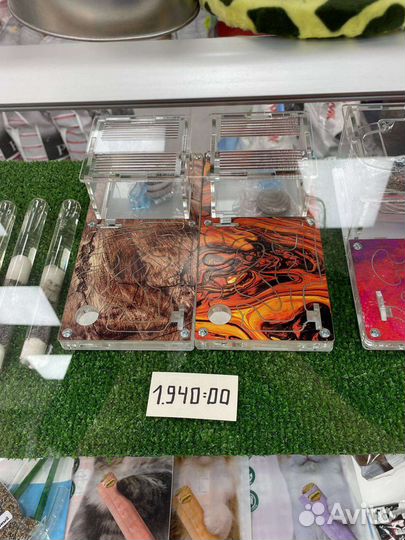 Муравьи Messor structor и фермы