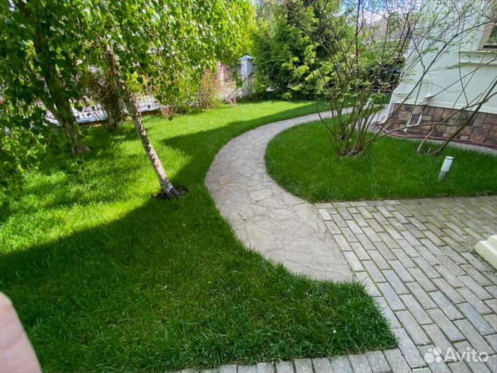 Рулонный газон под ключ