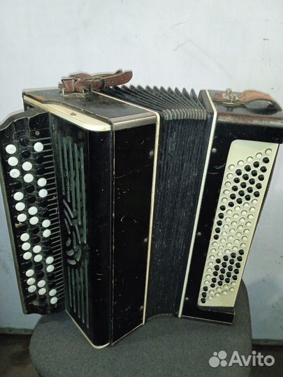 Баян Вологодский