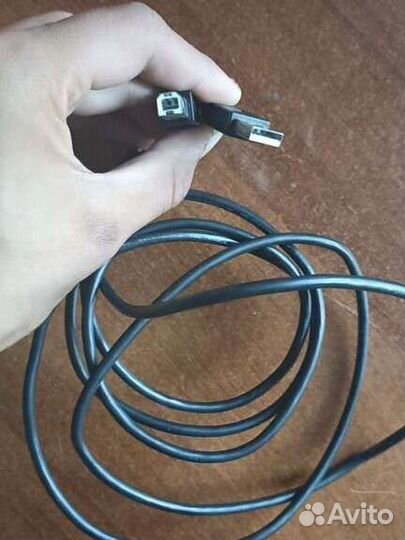 Behringer u phoria um2