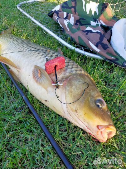 Жмыховки, макушатники, закидные удочки на сазана