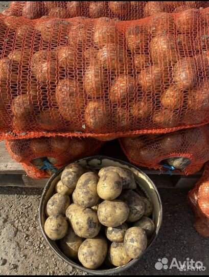 Продам картофель с доставкой