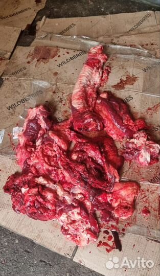 Субпродукты говяжьи