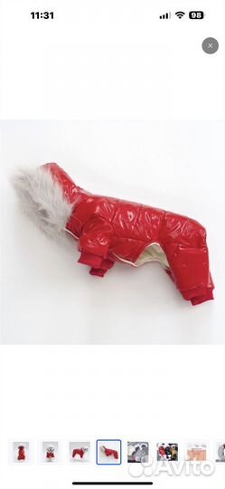 Зимний комбинезон для маленькой собаки