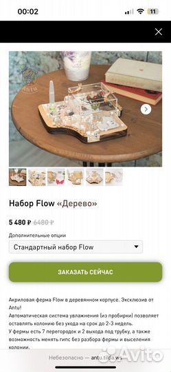 Муравьиная ферма