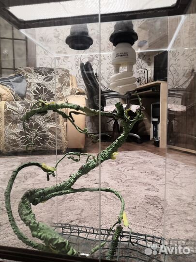 Террариум для рептилий