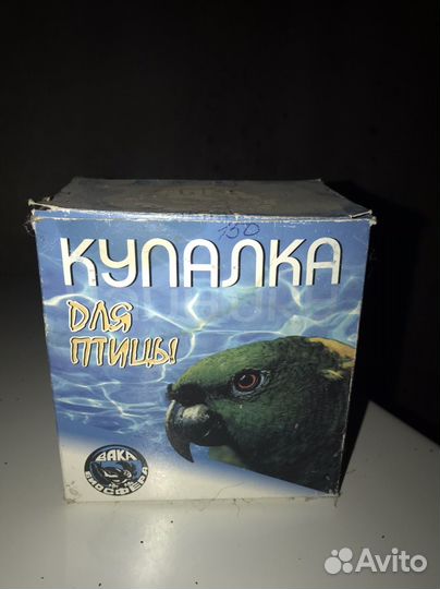 Волнистый попугай пара