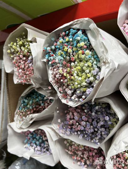 Гипсофила оптом розница букет