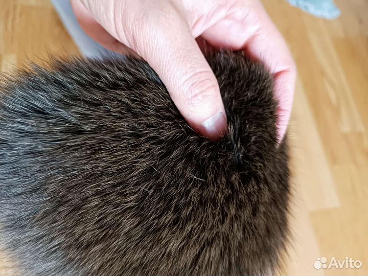 Меховой воротник