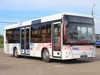 Городской автобус МАЗ 206047, 2023