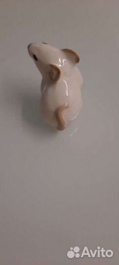 Мышка декоративная