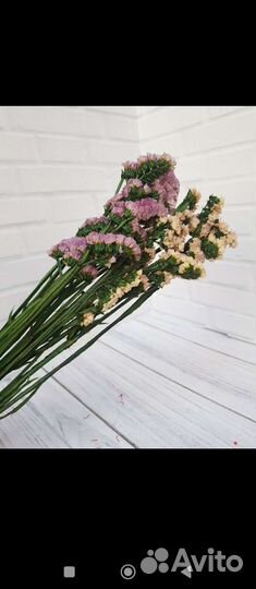 Статица стабилизированная