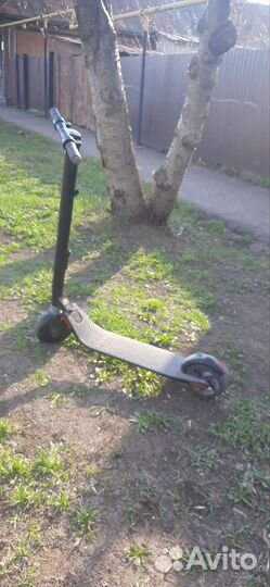 Электросамокат ninebot by segway