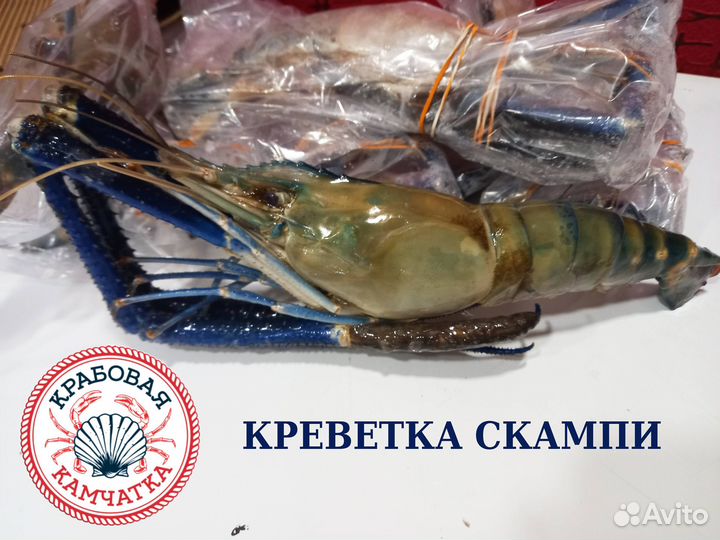 Креветка Скампи н/р с/м U5