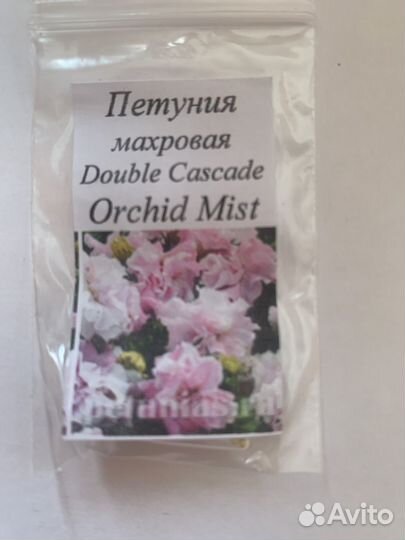 Рассада цветов