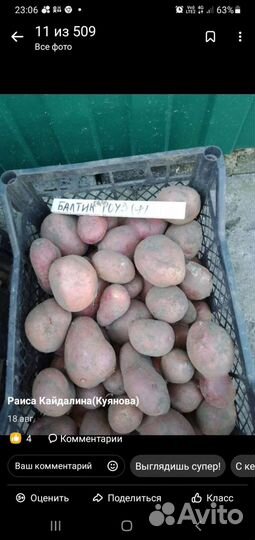 Продам картофель