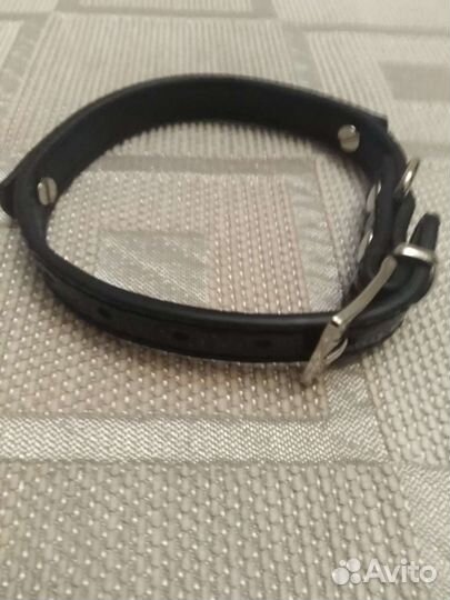 Кожаный ошейник для вашего любимца