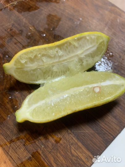 Пальчиковый лайм Faustrime