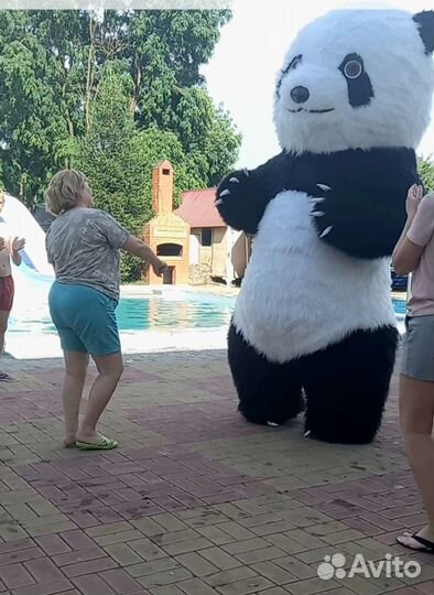 Надувные Панда Белый мишка,аниматоры,поздравления