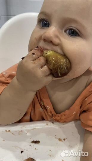 Инжир свежий.зарезервирован