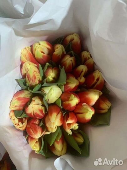 Тюльпаны к 8 марта