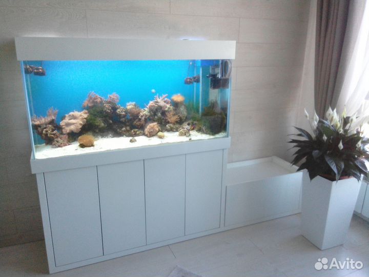 Аквариумы морские производство